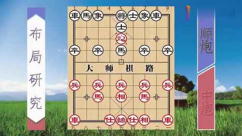 棋路软件棋力怎么样