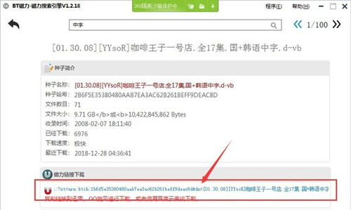 磁力搜索bt种子，磁力搜索 - bt蚂蚁
