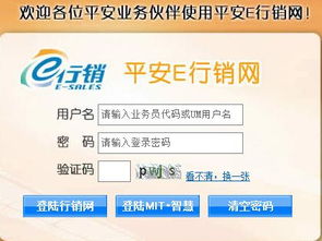 平安e行销网登录入口，平安e行销网登录官网下载安装