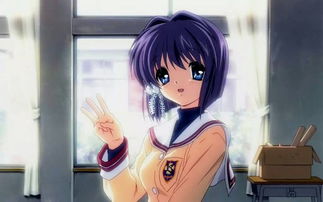 我要《CLANNAD》中藤林椋的简介!