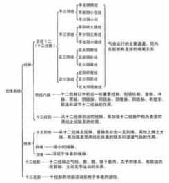 经络系统包括哪些内容?，经络系统中与脏腑有直接络属