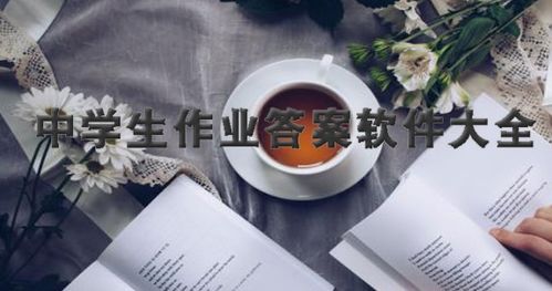 七天学伴和七天网络一样吗