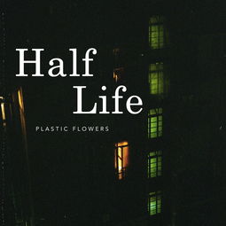 half-life 神马意思啊?不会直译把?