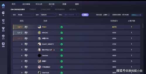 csgo局内战绩排名怎么调