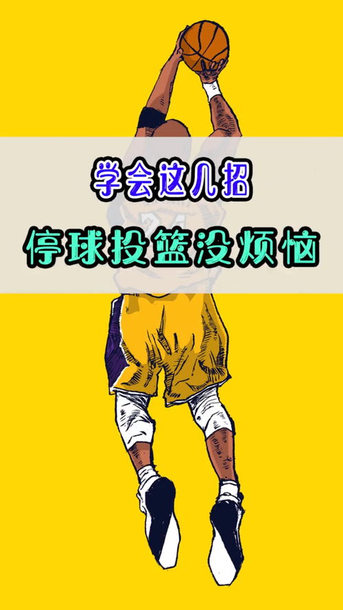 无烦恼是什么生肖