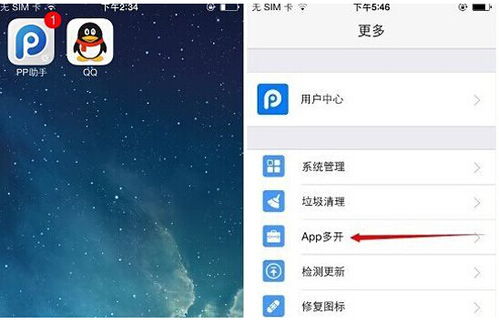 app是什么意思