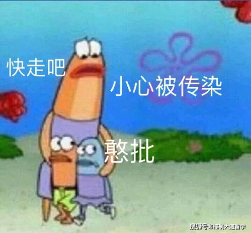 你收藏了哪些沙雕表情包?