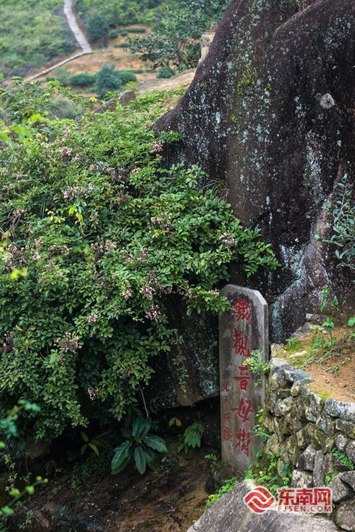 松岩山位于哪里