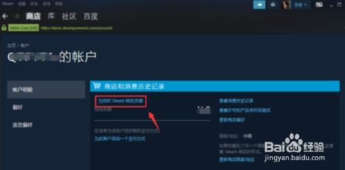 steam充值任意金额方法，steam充值任意金额贴吧