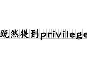 privilege是什么意思